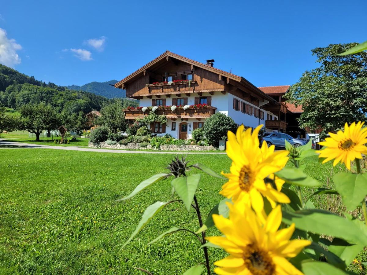 Apartamento Hoderhof Grassau  Exterior foto