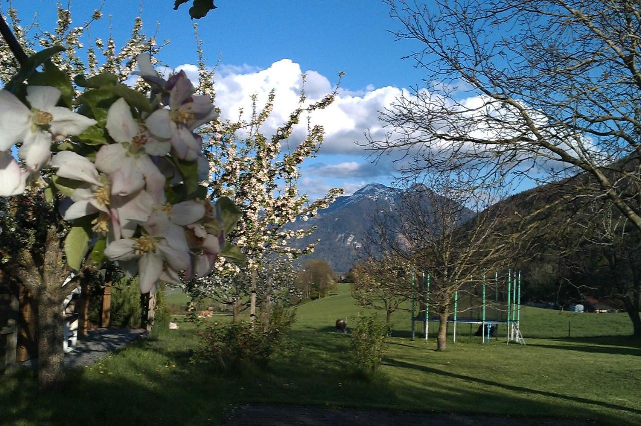 Apartamento Hoderhof Grassau  Exterior foto